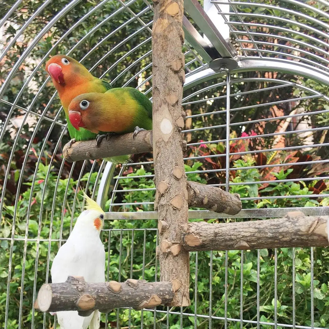 Bird Perch Nature Wood Stand for 3-4Pcs Small Parrots