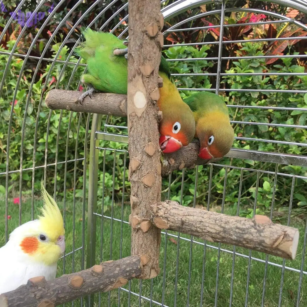 Bird Perch Nature Wood Stand for 3-4Pcs Small Parrots