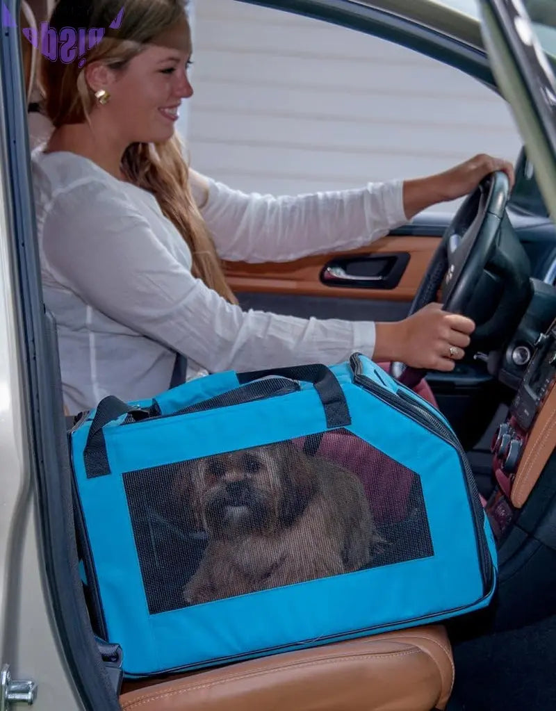 Pet Gear Signature Pet Car Seat & Carrier for Cats and Dogs up to 20-Pounds, Aqua