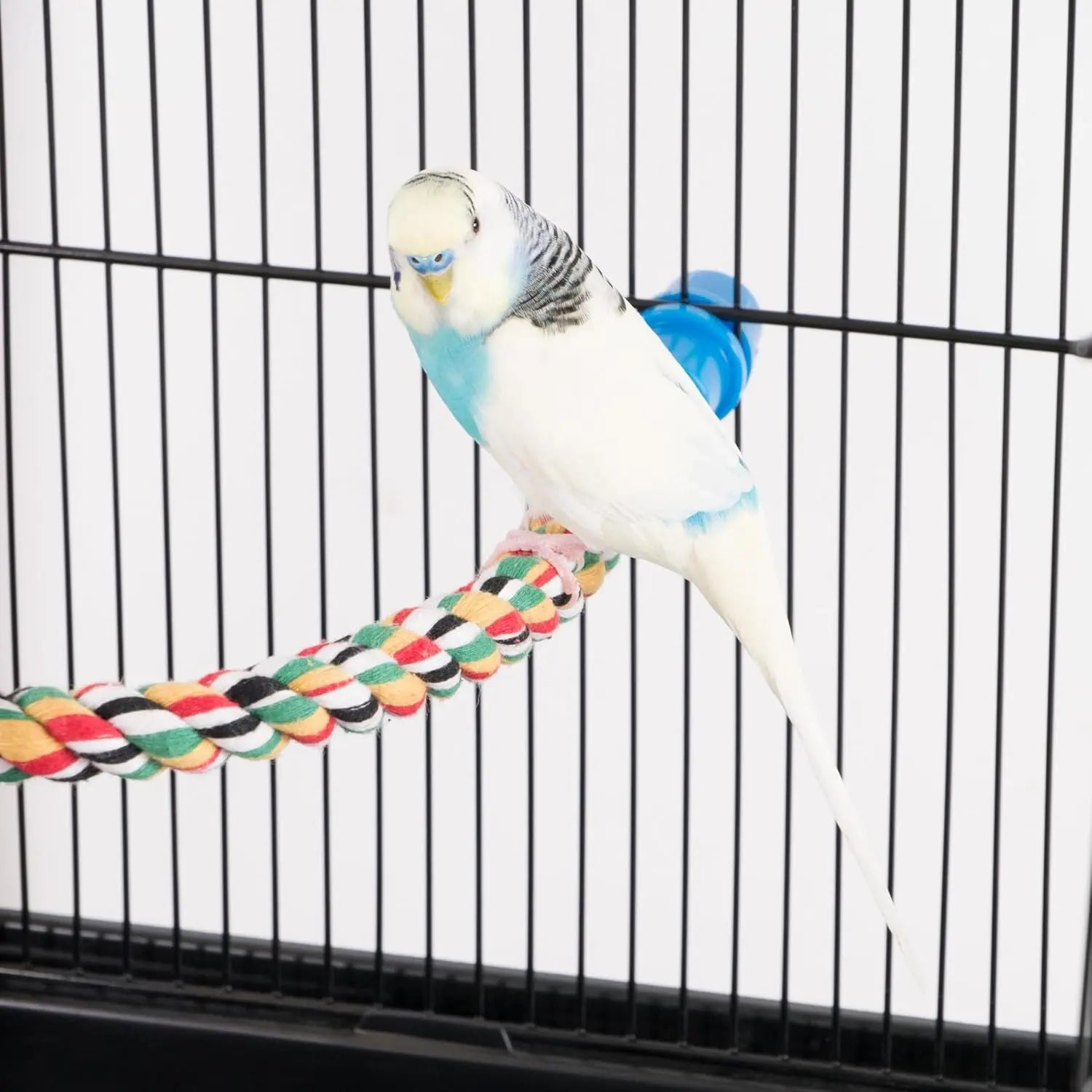 (PEN-005) Rope Perch - Small Bird - 21" X 5/8" Diameter