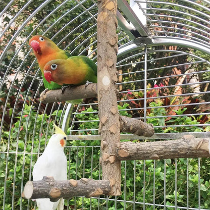 Bird Perch Nature Wood Stand for 3-4Pcs Small Parrots