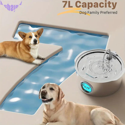 Pet Feeder Dog Water Fountain Stainless Steel-2