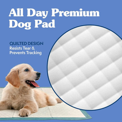 Training Pads, 71 X 76Cm, 50Pk